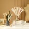 Dried Pampas Grass Decor, Natural Dried Flower Bouquet Rustic Boho Decor for Home Decor Indoor, Bedroom, Wedding, or Gift